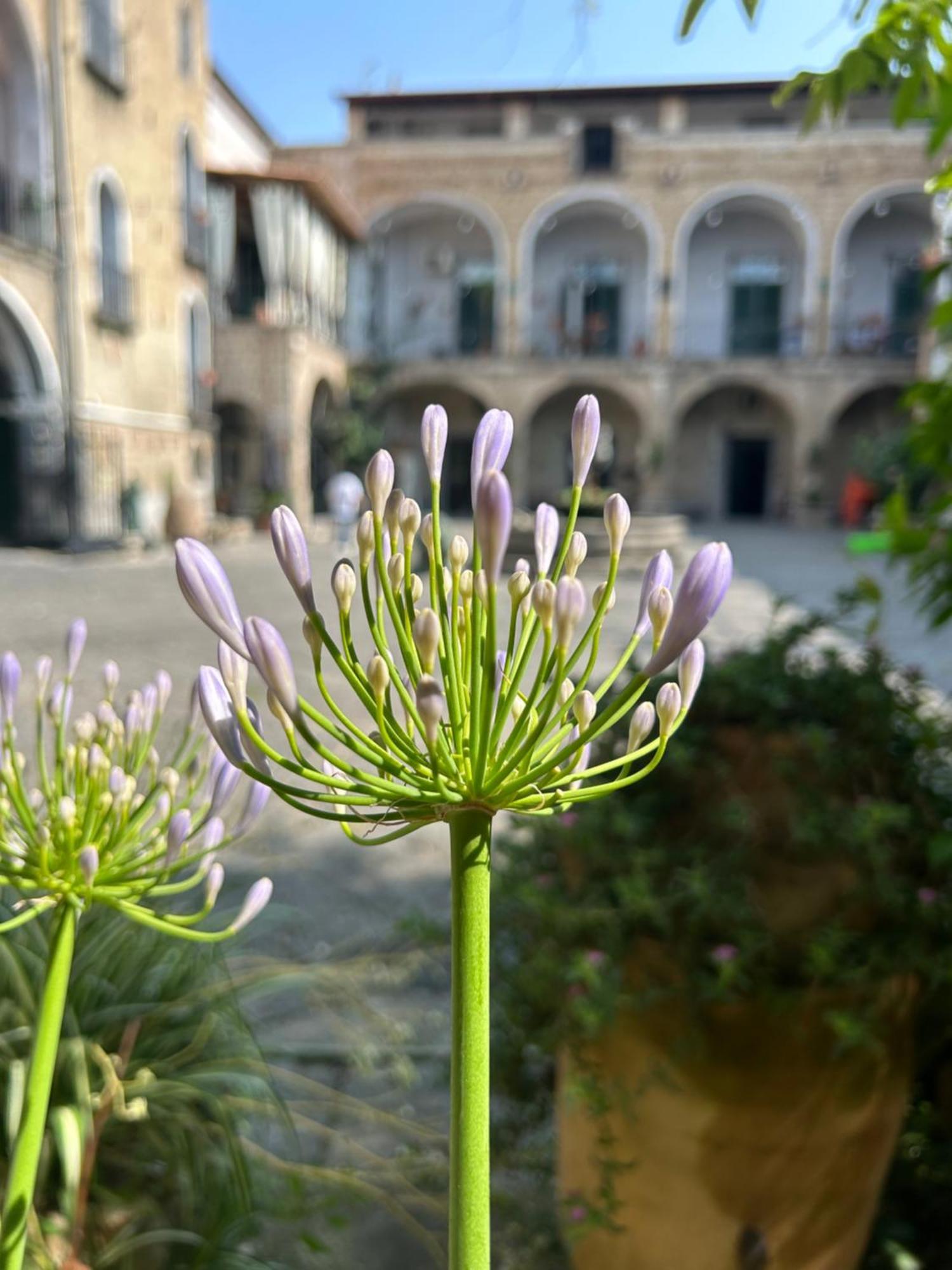 Ferienwohnung Palazzo Capece Caivano Exterior foto